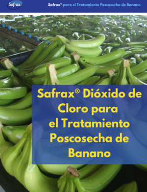 Safrax Dioxido de Cloro Clo2 Tratamiento Poscosecha de banano - Steve Jacob Dan 2024