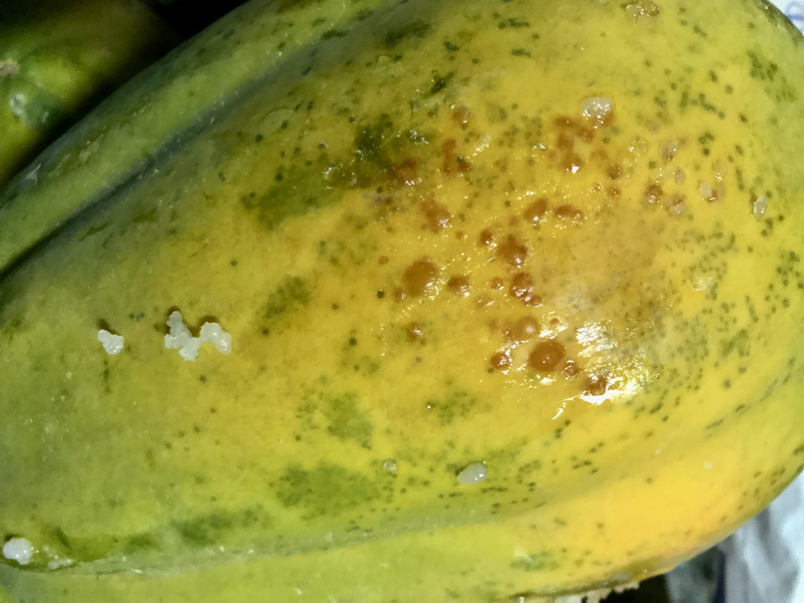 dioxido de cloro papaya antracnosis